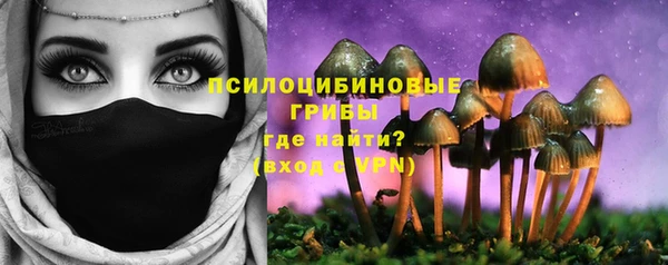 экстази Вяземский