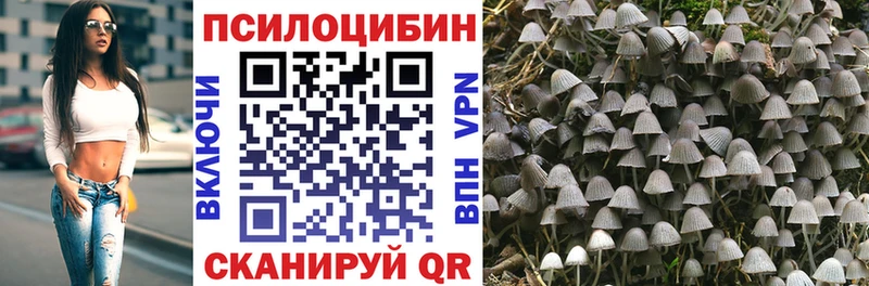 Галлюциногенные грибы GOLDEN TEACHER  сайты даркнета официальный сайт  Астрахань 